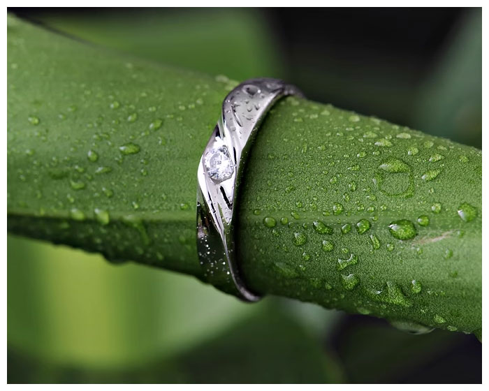silver simple couple ring
